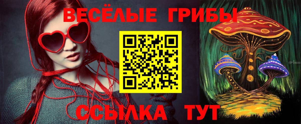 Псилоцибиновые грибы Psilocybe Рубцовск