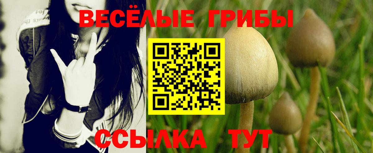Рубцовск  Псилоцибиновые грибы ЛСД  Вход с VPN 